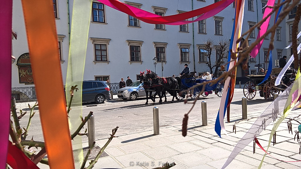 wien 6