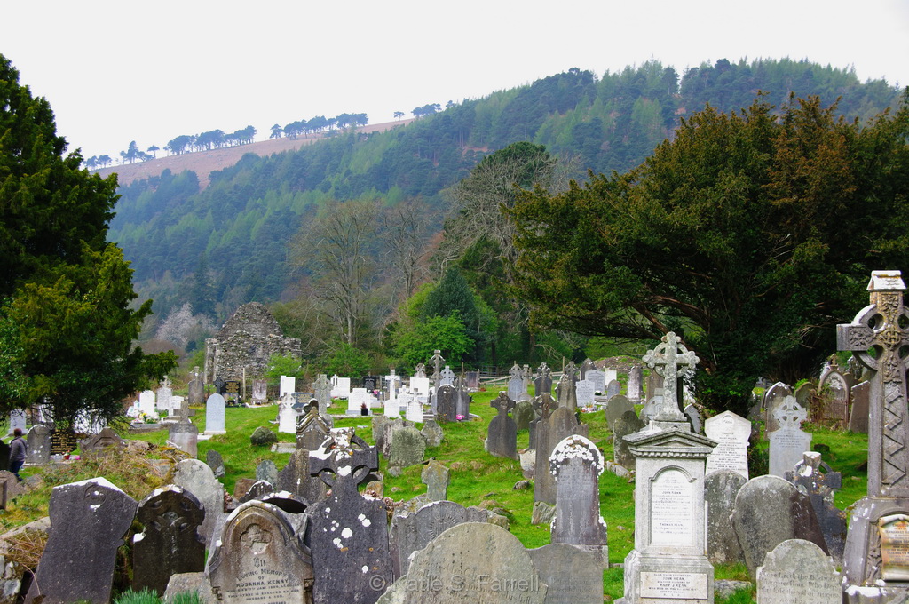Wicklow Mountains