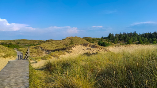 Weg an die Nordsee